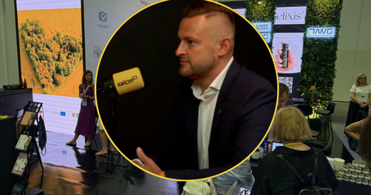 280 firm, 7 milionów i jedna idea. Kulisy projektu, o którym robi się ...