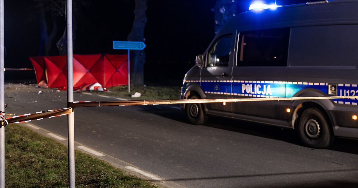Król łososi i świeżo upieczony miliarder. Jeden z najbogatszych Norwegów zginął w Polsce