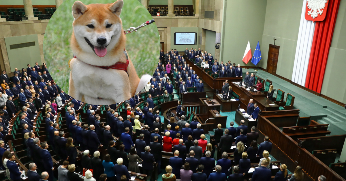 Prowokacja dziennikarzy. Posłowie połknęli haczyk i zgłosili absurdalną interpelację