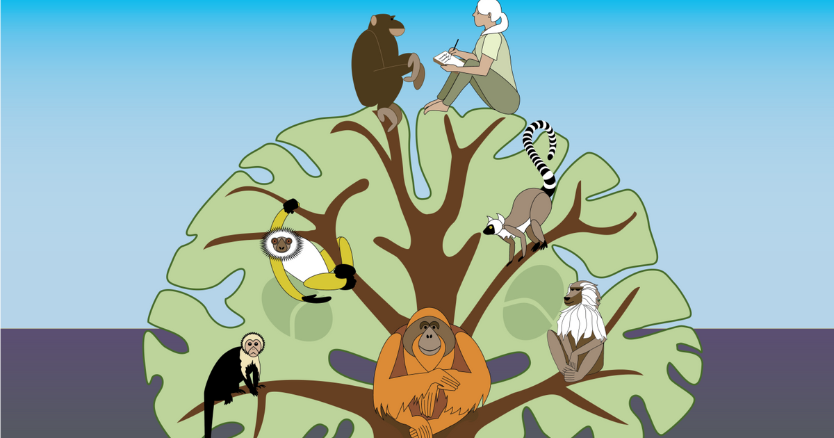 JAK BLISKIE W RZECZYWISTOŚCI SĄ PODOBIEŃSTWA MIĘDZY