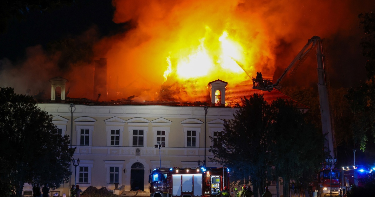 www.salon24.pl