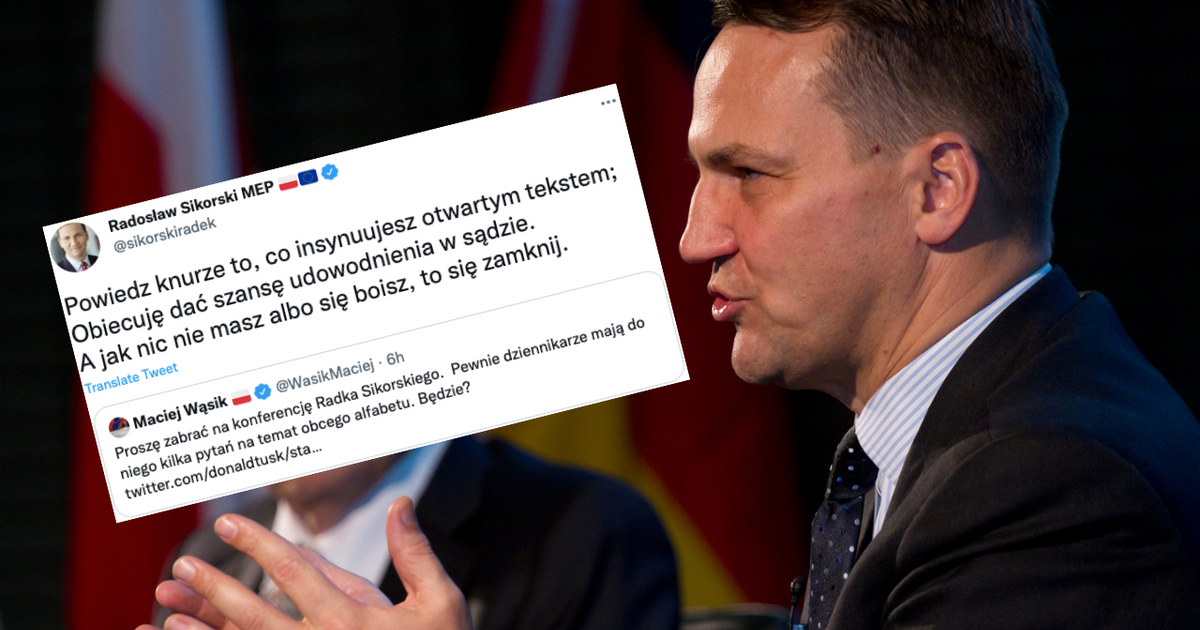 Sikorski już nie panuje nad sobą? "Powiedz knurze, co insynuujesz