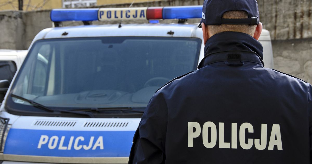 Koszmar w Krakowie. Zwłoki w akademiku i atak szaleńca w parku